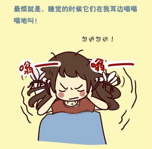 蚊子醒了！快走進紗窗世界，遠離蚊蟲so easy！